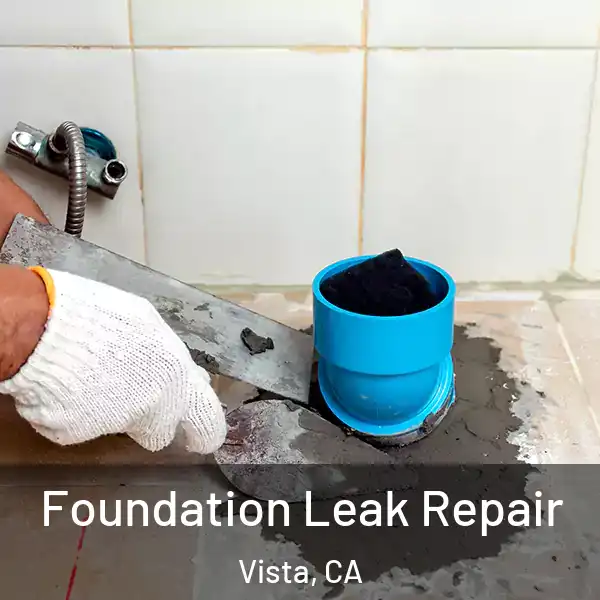  Foundation Leak Repair Vista, CA