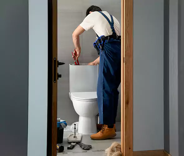 Professional Plumbers for Toilet Bowl Replacement in Vista, CA: Schedule Affordable Toilet Replacement Services With Us