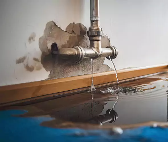 Professional Water Damage Restoration Experts in Vista, CA — Fast, Reliable & Certified