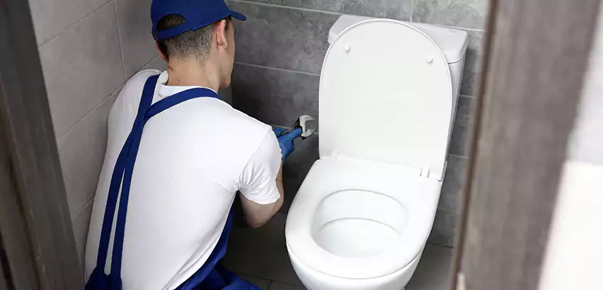 Toilet Lid Replacement in Vista
