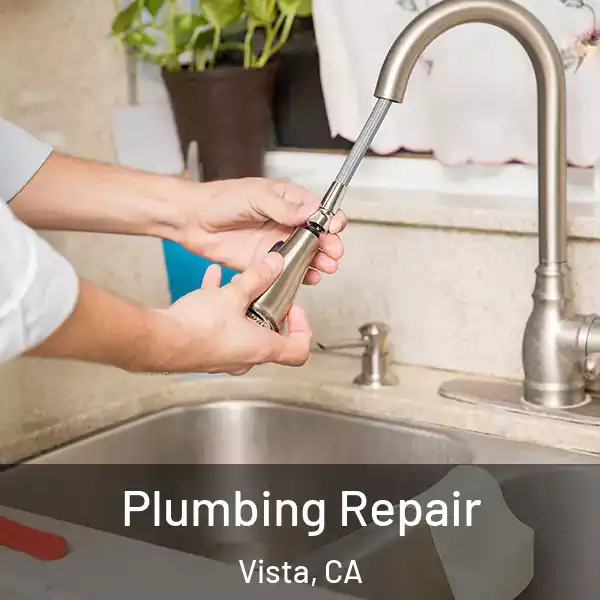  Plumbing Repair Vista, CA