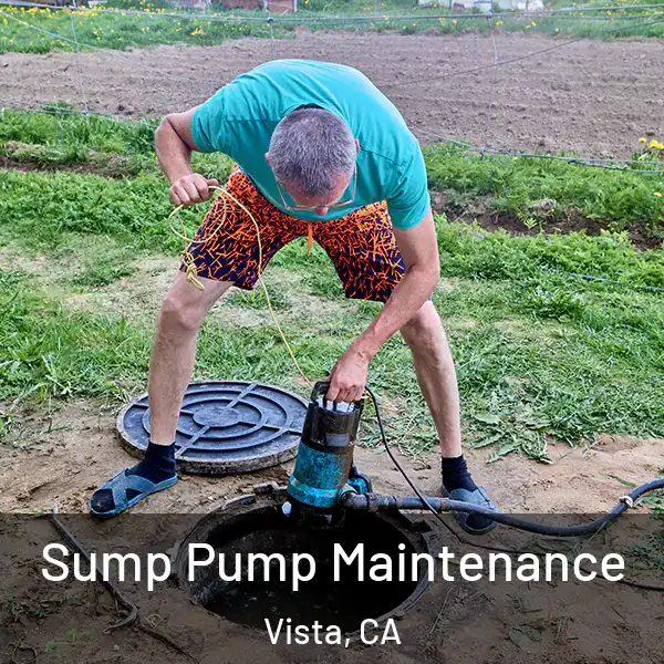  Sump Pump Maintenance Vista, CA