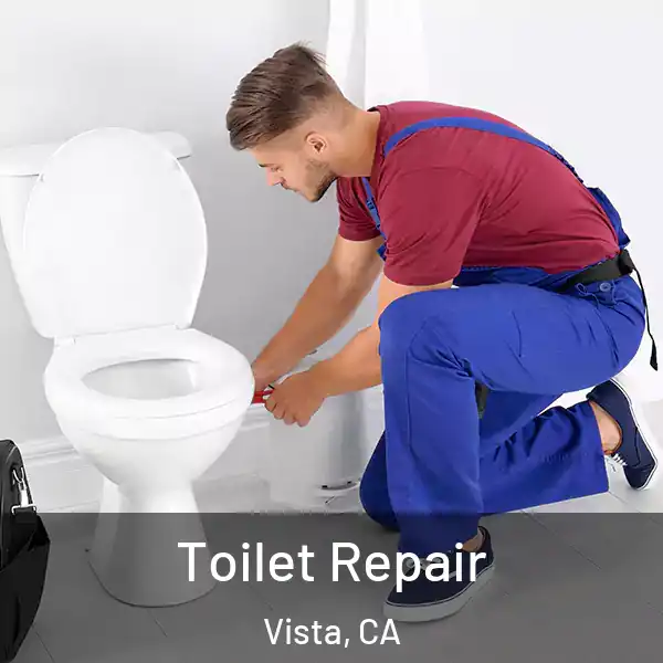  Toilet Repair Vista, CA