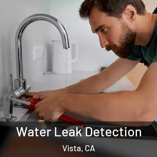  Water Leak Detection Vista, CA